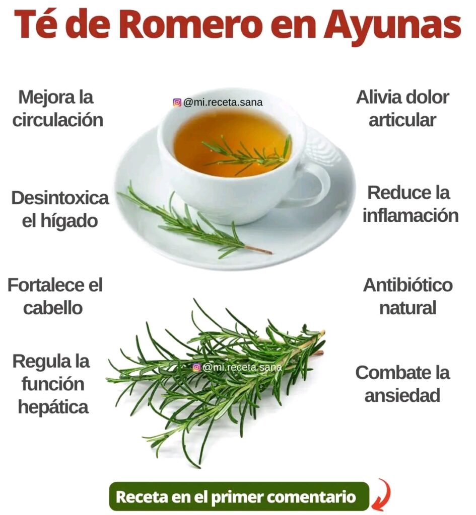 Aprovecha los beneficios del Té de Romero y aprende a prepararlo 1685992044237 945x1024