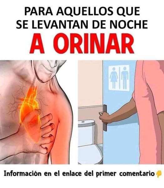 PARA LOS QUE SE LEVANTAN A ORINAR FB IMG 1686072603736